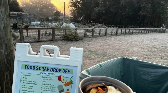 Charleston Compost Program Expands with New Drop-Off Sites
