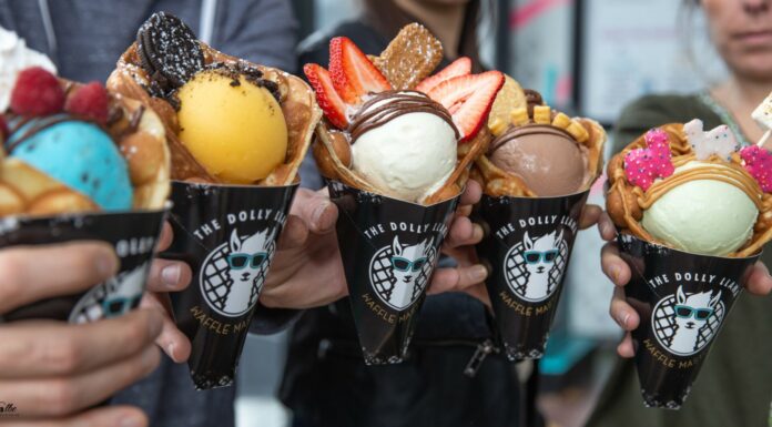 Legendary Dolly Llama Coming To Charleston This Summer