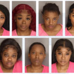 7 Arrested In Goose Creek After Sending Officer To Hospital