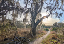 Top 10 Tampa Bay Area State Parks to Explore this Memorial Day Weekend