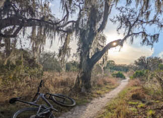 Top 10 Tampa Bay Area State Parks to Explore this Memorial Day Weekend