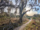 Top 10 Tampa Bay Area State Parks to Explore this Memorial Day Weekend