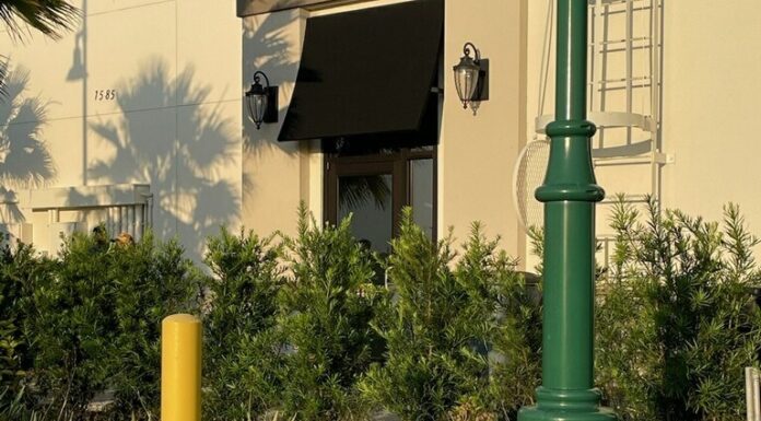 Gator-ade Break: Alligator Stops by North Port Starbucks for a Latte