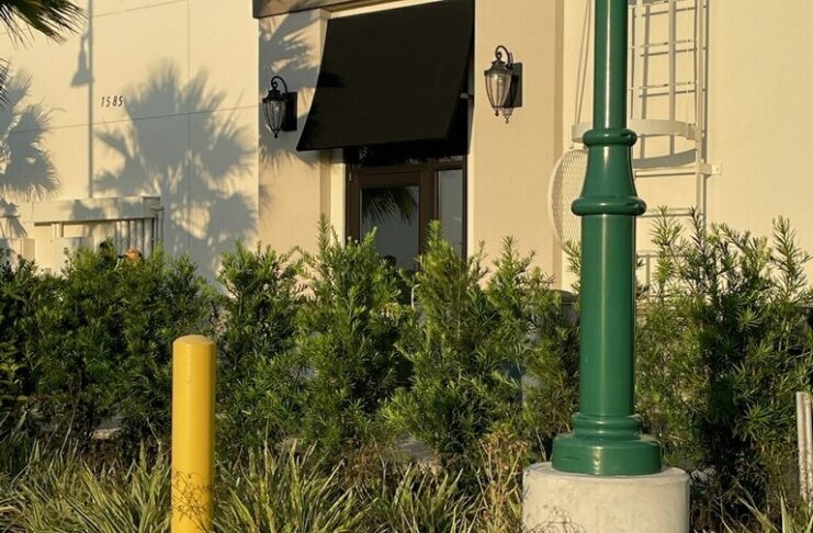 Gator-ade Break: Alligator Stops by North Port Starbucks for a Latte