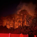 Firefighters Contain Port Richey Brush Fire Near Residential Area