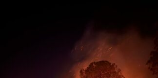 Firefighters Contain Port Richey Brush Fire Near Residential Area