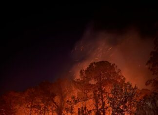Firefighters Contain Port Richey Brush Fire Near Residential Area