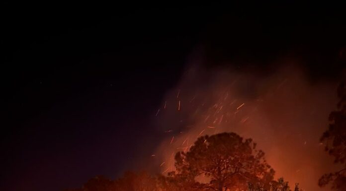 Firefighters Contain Port Richey Brush Fire Near Residential Area
