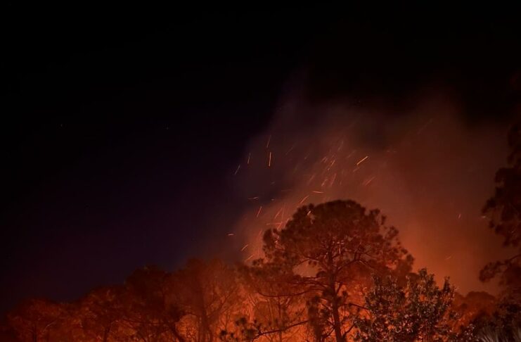 Firefighters Contain Port Richey Brush Fire Near Residential Area
