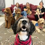 Tampa Bay Area Teachers De-Stress with ‘Hug-A-Dog’ Program