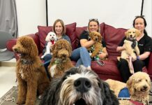 Tampa Bay Area Teachers De-Stress with ‘Hug-A-Dog’ Program