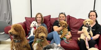 Tampa Bay Area Teachers De-Stress with ‘Hug-A-Dog’ Program