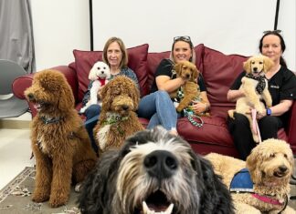 Tampa Bay Area Teachers De-Stress with ‘Hug-A-Dog’ Program