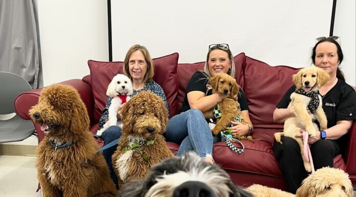 Tampa Bay Area Teachers De-Stress with ‘Hug-A-Dog’ Program