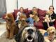 Tampa Bay Area Teachers De-Stress with ‘Hug-A-Dog’ Program