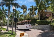 Explore St. Pete’s Past: Museum of History Launches Historic Trolley Tours