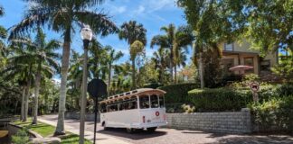 Explore St. Pete’s Past: Museum of History Launches Historic Trolley Tours