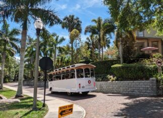 Explore St. Pete’s Past: Museum of History Launches Historic Trolley Tours