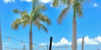 Tampa Bay Bars Shine in Southern Living’s Florida Beach Bar Roundup