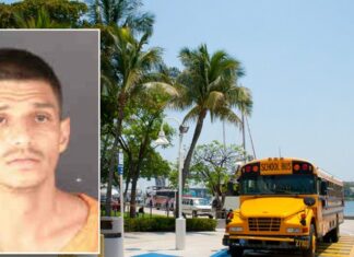 High-Stakes Joyride: Man Steals School Bus for Miami Adventure