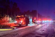 Firefighters Contain Brush Fire Near Morris Bridge Road in Tampa