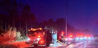 Firefighters Contain Brush Fire Near Morris Bridge Road in Tampa