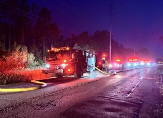 Firefighters Contain Brush Fire Near Morris Bridge Road in Tampa