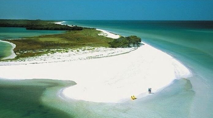 This Tampa Area Beach Was Just Ranked Among The Top 4 Best Beaches in America