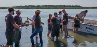 Local Students Join Forces with Conservationists to Rebuild Vital Lowcountry Oyster Reefs