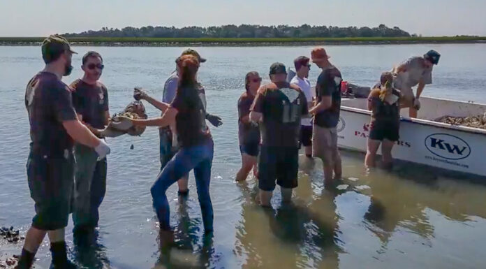 Local Students Join Forces with Conservationists to Rebuild Vital Lowcountry Oyster Reefs