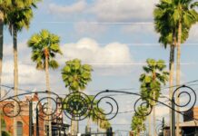 St. Pete Pride 2024: Florida’s Biggest LGBTQ+ Celebration