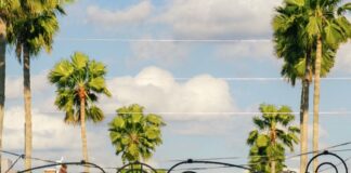 St. Pete Pride 2024: Florida’s Biggest LGBTQ+ Celebration