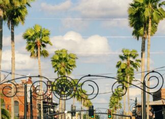 St. Pete Pride 2024: Florida’s Biggest LGBTQ+ Celebration