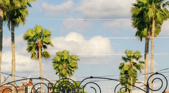 St. Pete Pride 2024: Florida’s Biggest LGBTQ+ Celebration