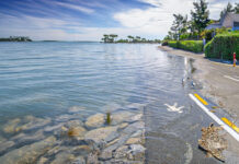 Charleston Is Sinking Into The Ocean Far Faster Than Previously Thought