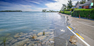 Charleston Is Sinking Into The Ocean Far Faster Than Previously Thought