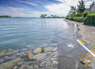 Charleston Is Sinking Into The Ocean Far Faster Than Previously Thought