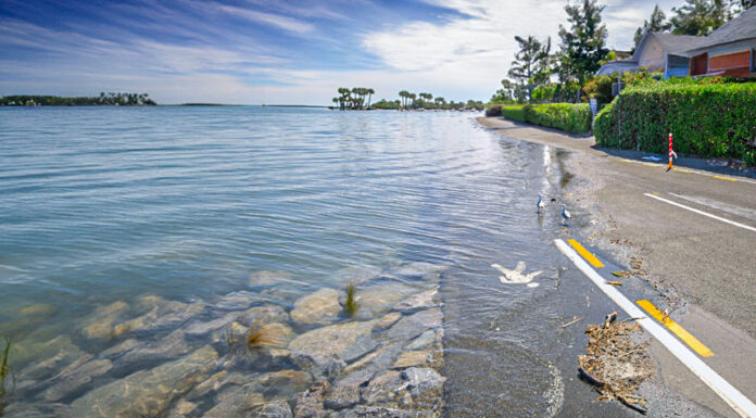Charleston Is Sinking Into The Ocean Far Faster Than Previously Thought