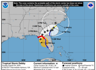 Charleston Mayor Declares State of Emergency Ahead of Hurricane Debby’s Arrival